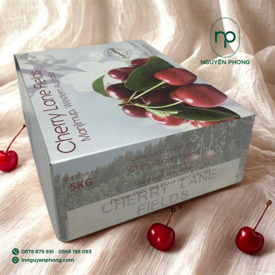 in-hop-giay-dung-cherry-gia-re-tai-ha-noi
